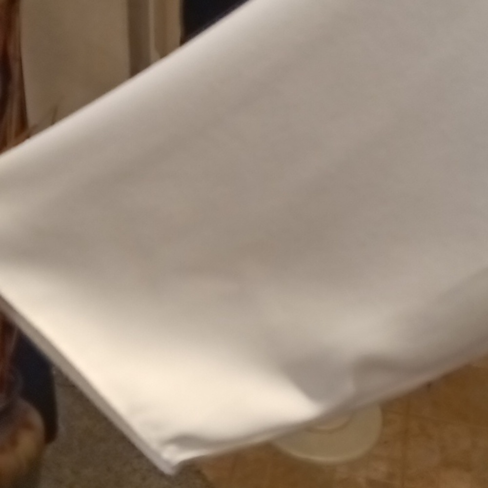 FINAL PRICE TALBOTS ivory 3/4 sleeve blouse w scalloped hem & flap in rear 1X - Picture 4 of 13